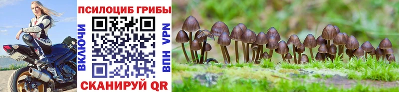 Псилоцибиновые грибы GOLDEN TEACHER  Усть-Джегута 