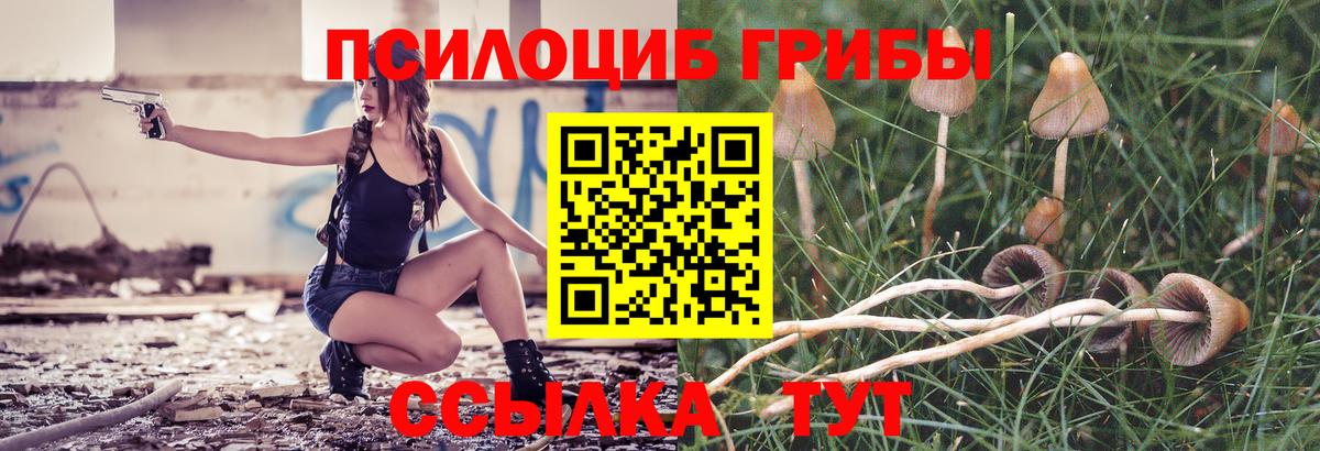 Псилоцибиновые грибы Psilocybe  Вход с VPN  Псилоцибиновые грибы Psilocybe  Усть-Джегута 