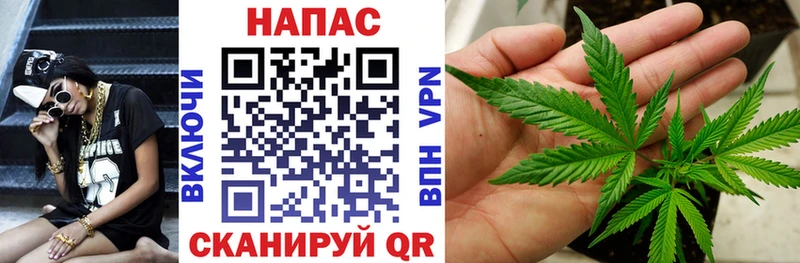 Канабис конопля Усть-Джегута